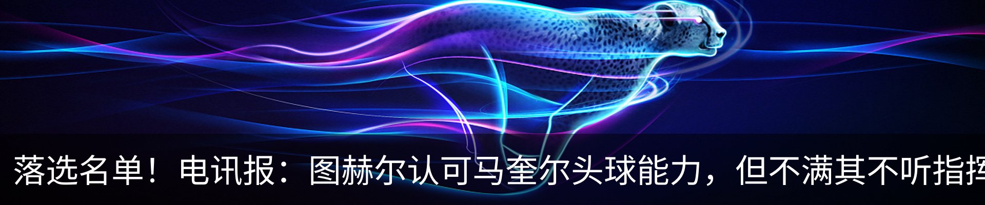 资讯动态